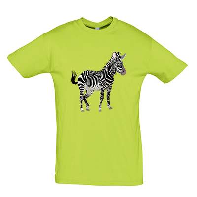 Zebra