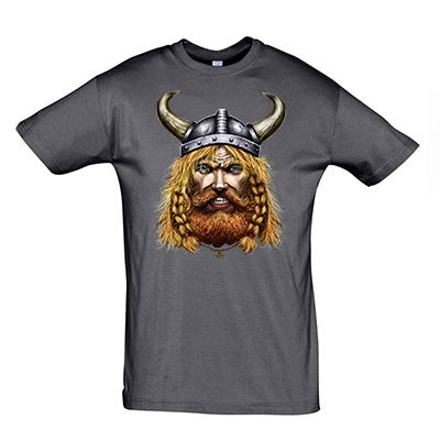 MA Viking